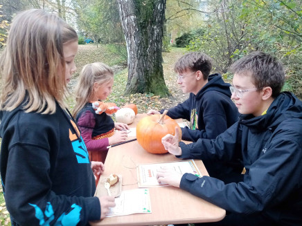 IMG_20251023_161053_3_11zon