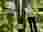img_3486_optimized