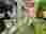 img_3485_optimized