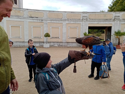 img_20250516_102042_optimized