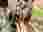 img_2908_optimized