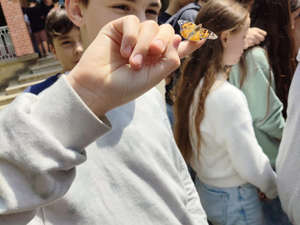 23525a7c-641f-458d-a8df-9827ab2642ea