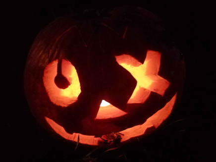 IMG_20251023_183901_4_11zon