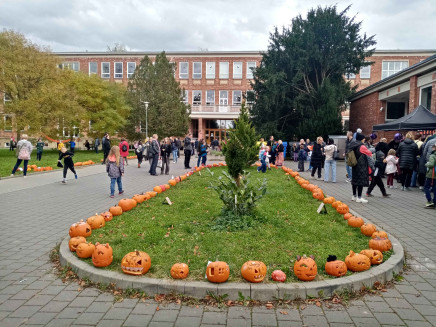 IMG_20251023_162353_10_11zon