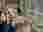 img_3178_optimized