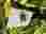 img_3482_optimized