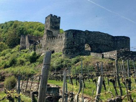 MicrosoftTeams-image (47)