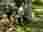 img_3491_optimized