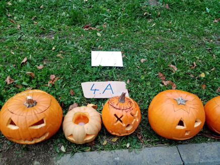 IMG_20251023_162912_3_11zon