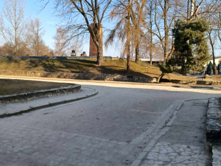 477006793_1687447162125105_8370359690535544308_n