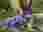 3_optimized.a
