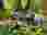 img_3492_optimized