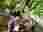 img_3489_optimized