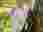 img_3481_optimized
