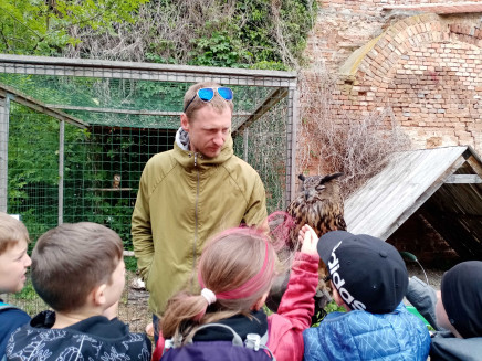 img_20250516_100530_optimized