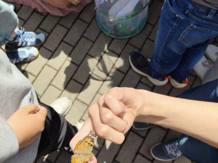 7a82db4e-d09c-412b-94a4-2fffde731f85