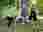 img_3488_optimized