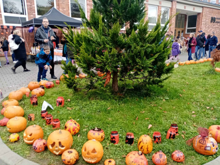 IMG_20251023_163342_9_11zon