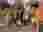 IMG-20250326-WA0014
