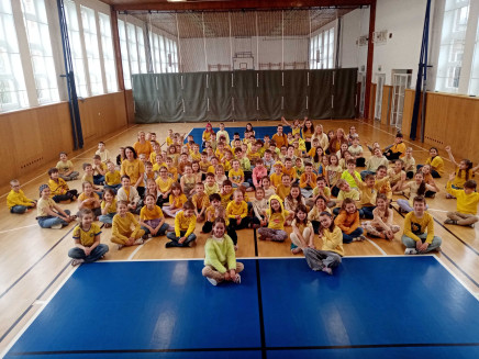 img_20260331_094817_optimized