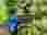 img_3483_optimized