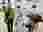 img_20250516_101743_optimized