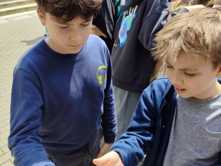 2840069c-4e3a-4df0-a069-c5d8b48c0f91