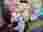 img_20250516_092353_optimized