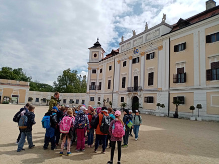 img_20250516_101524_optimized