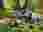 img_3493_optimized